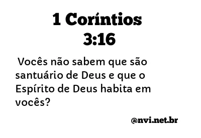 1 CORÍNTIOS 3:16 NVI NOVA VERSÃO INTERNACIONAL