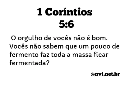 1 CORÍNTIOS 5:6 NVI NOVA VERSÃO INTERNACIONAL