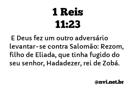 1 REIS 11:23 NVI NOVA VERSÃO INTERNACIONAL