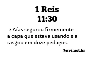 1 REIS 11:30 NVI NOVA VERSÃO INTERNACIONAL