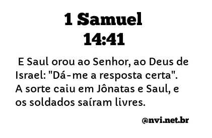 1 SAMUEL 14:41 NVI NOVA VERSÃO INTERNACIONAL