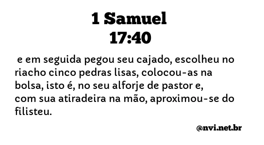 1 SAMUEL 17:40 NVI NOVA VERSÃO INTERNACIONAL