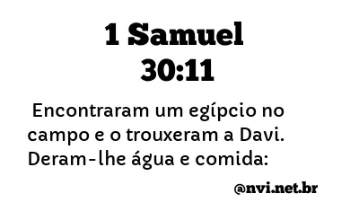 1 SAMUEL 30:11 NVI NOVA VERSÃO INTERNACIONAL