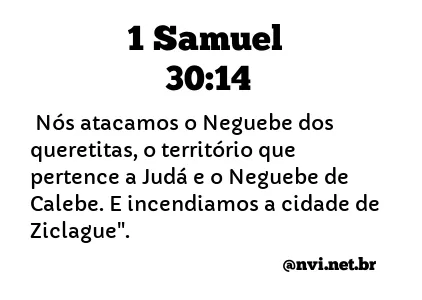 1 SAMUEL 30:14 NVI NOVA VERSÃO INTERNACIONAL