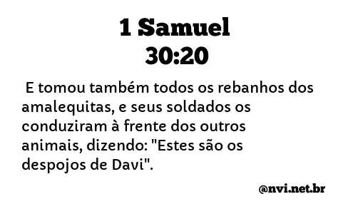 1 SAMUEL 30:20 NVI NOVA VERSÃO INTERNACIONAL