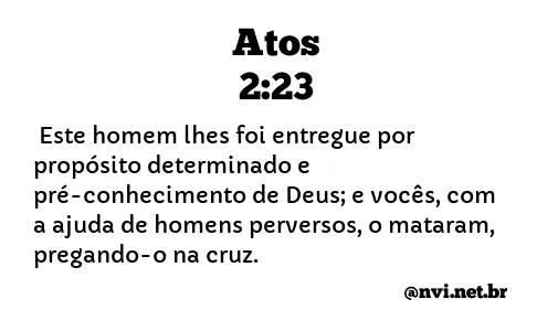 ATOS 2:23 NVI NOVA VERSÃO INTERNACIONAL