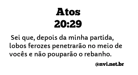 ATOS 20:29 NVI NOVA VERSÃO INTERNACIONAL