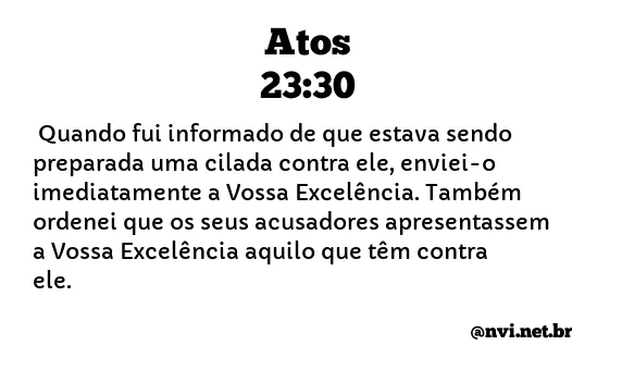 ATOS 23:30 NVI NOVA VERSÃO INTERNACIONAL