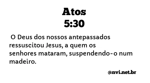 ATOS 5:30 NVI NOVA VERSÃO INTERNACIONAL