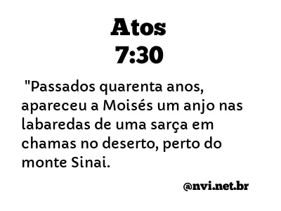 ATOS 7:30 NVI NOVA VERSÃO INTERNACIONAL