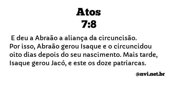 ATOS 7:8 NVI NOVA VERSÃO INTERNACIONAL