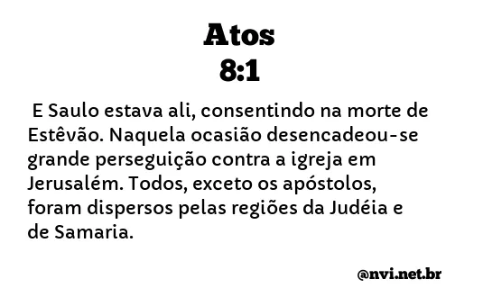 ATOS 8:1 NVI NOVA VERSÃO INTERNACIONAL