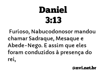 DANIEL 3:13 NVI NOVA VERSÃO INTERNACIONAL