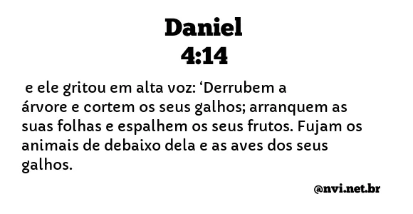 DANIEL 4:14 NVI NOVA VERSÃO INTERNACIONAL