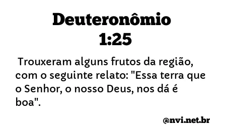 DEUTERONÔMIO 1:25 NVI NOVA VERSÃO INTERNACIONAL