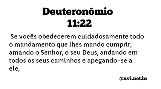 DEUTERONÔMIO 11:22 NVI NOVA VERSÃO INTERNACIONAL