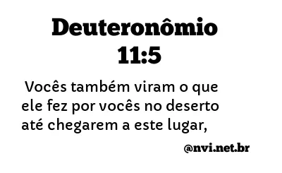 DEUTERONÔMIO 11:5 NVI NOVA VERSÃO INTERNACIONAL