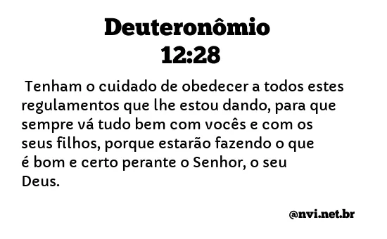 DEUTERONÔMIO 12:28 NVI NOVA VERSÃO INTERNACIONAL