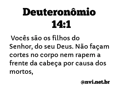 DEUTERONÔMIO 14:1 NVI NOVA VERSÃO INTERNACIONAL