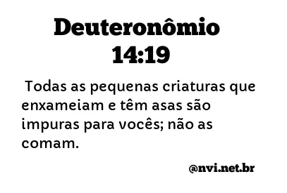 DEUTERONÔMIO 14:19 NVI NOVA VERSÃO INTERNACIONAL