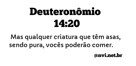 DEUTERONÔMIO 14:20 NVI NOVA VERSÃO INTERNACIONAL