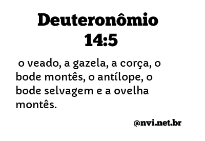 DEUTERONÔMIO 14:5 NVI NOVA VERSÃO INTERNACIONAL