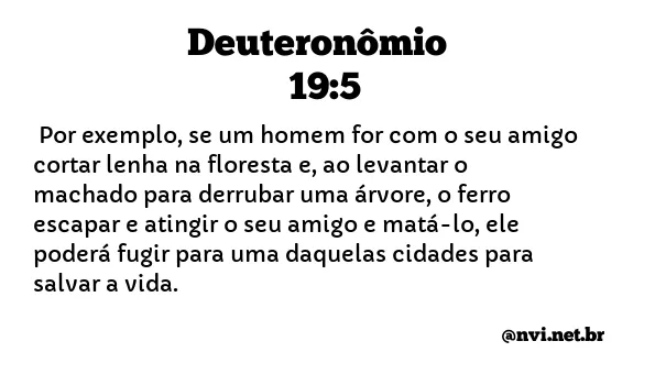 DEUTERONÔMIO 19:5 NVI NOVA VERSÃO INTERNACIONAL