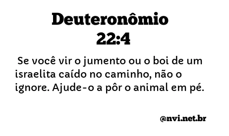 DEUTERONÔMIO 22:4 NVI NOVA VERSÃO INTERNACIONAL