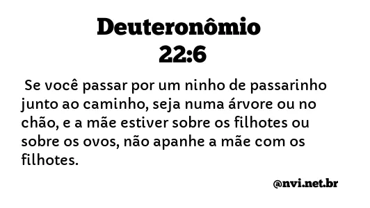 DEUTERONÔMIO 22:6 NVI NOVA VERSÃO INTERNACIONAL