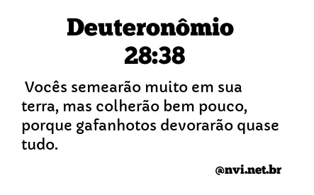 DEUTERONÔMIO 28:38 NVI NOVA VERSÃO INTERNACIONAL