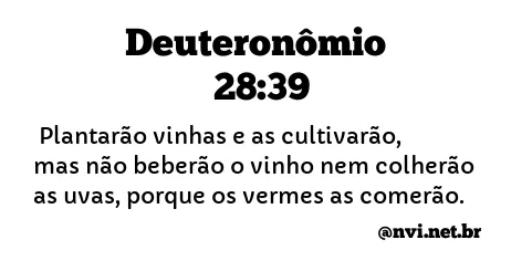 DEUTERONÔMIO 28:39 NVI NOVA VERSÃO INTERNACIONAL