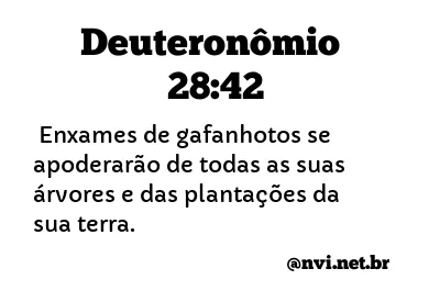 DEUTERONÔMIO 28:42 NVI NOVA VERSÃO INTERNACIONAL