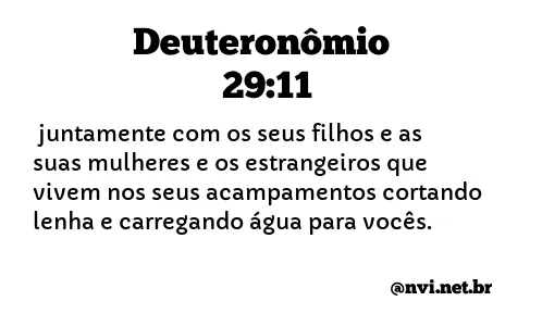 DEUTERONÔMIO 29:11 NVI NOVA VERSÃO INTERNACIONAL