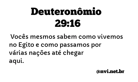 DEUTERONÔMIO 29:16 NVI NOVA VERSÃO INTERNACIONAL