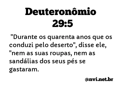 DEUTERONÔMIO 29:5 NVI NOVA VERSÃO INTERNACIONAL