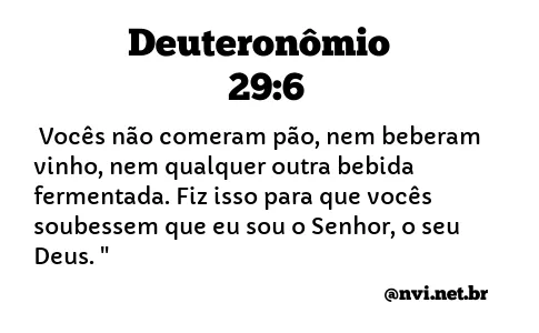 DEUTERONÔMIO 29:6 NVI NOVA VERSÃO INTERNACIONAL