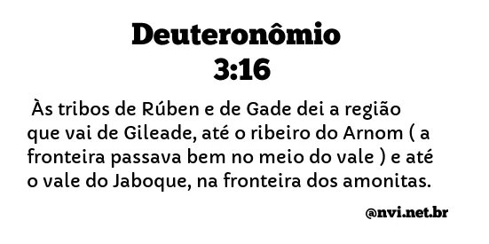 DEUTERONÔMIO 3:16 NVI NOVA VERSÃO INTERNACIONAL