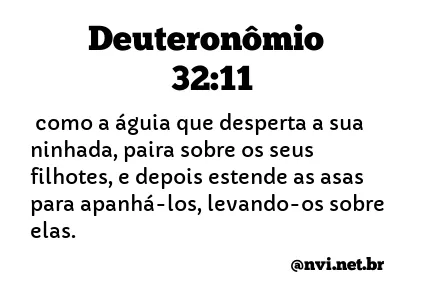 DEUTERONÔMIO 32:11 NVI NOVA VERSÃO INTERNACIONAL