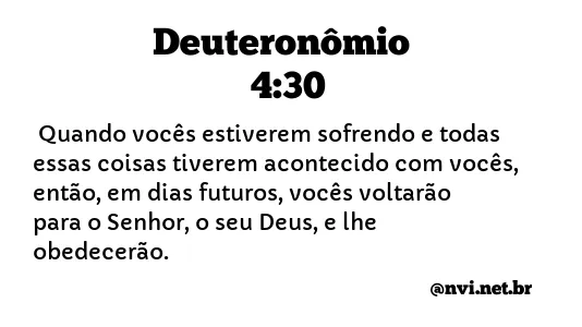 DEUTERONÔMIO 4:30 NVI NOVA VERSÃO INTERNACIONAL