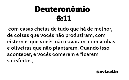 DEUTERONÔMIO 6:11 NVI NOVA VERSÃO INTERNACIONAL