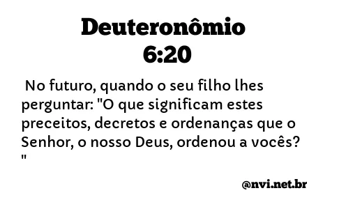 DEUTERONÔMIO 6:20 NVI NOVA VERSÃO INTERNACIONAL