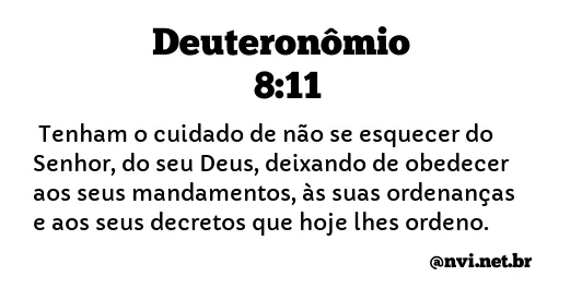 DEUTERONÔMIO 8:11 NVI NOVA VERSÃO INTERNACIONAL