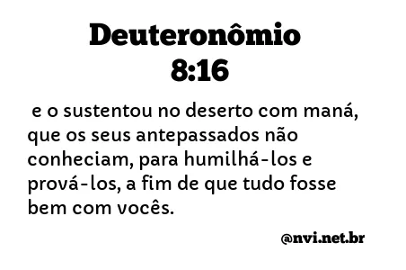 DEUTERONÔMIO 8:16 NVI NOVA VERSÃO INTERNACIONAL