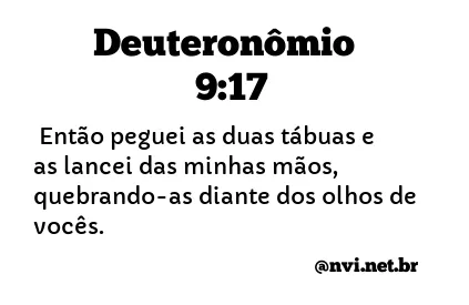 DEUTERONÔMIO 9:17 NVI NOVA VERSÃO INTERNACIONAL