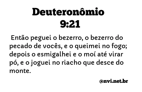 DEUTERONÔMIO 9:21 NVI NOVA VERSÃO INTERNACIONAL