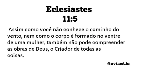 ECLESIASTES 11:5 NVI NOVA VERSÃO INTERNACIONAL