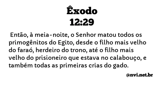 ÊXODO 12:29 NVI NOVA VERSÃO INTERNACIONAL