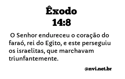 ÊXODO 14:8 NVI NOVA VERSÃO INTERNACIONAL