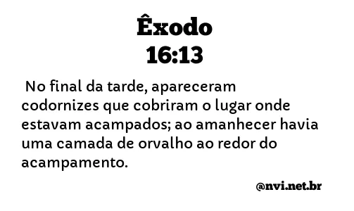 ÊXODO 16:13 NVI NOVA VERSÃO INTERNACIONAL