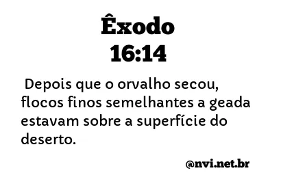 ÊXODO 16:14 NVI NOVA VERSÃO INTERNACIONAL